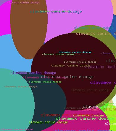 Clavamox canine dosage
