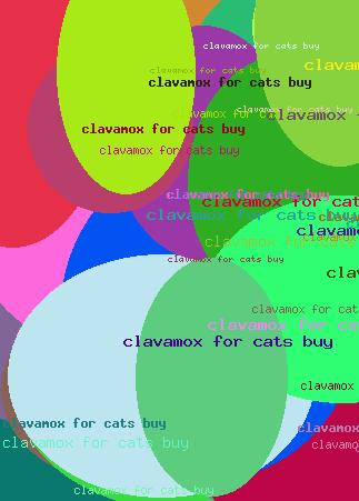 clavamox for cats buy