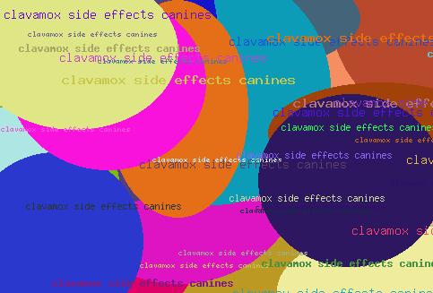 clavamox side effects canines