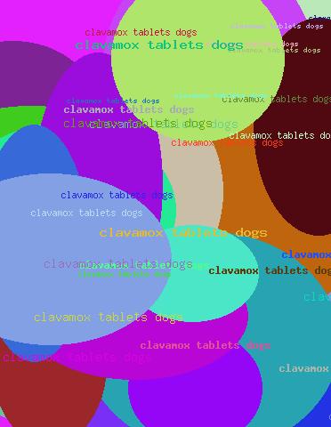clavamox tablets dogs