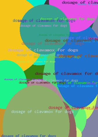 Dosage Of Clavamox For Dogs