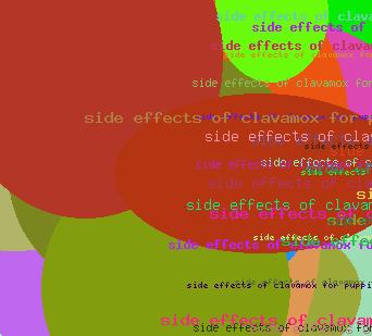 side effects of clavamox for puppies