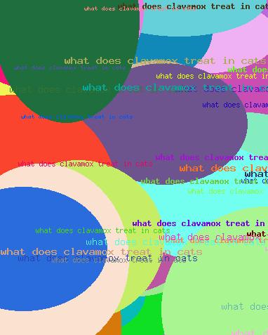 WHAT DOES CLAVAMOX TREAT IN CATS