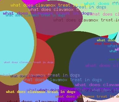 What Does Clavamox Treat In Dogs