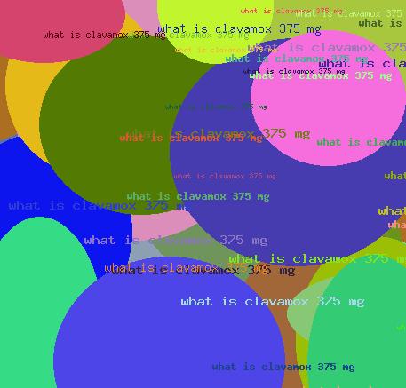 What is clavamox 375 mg